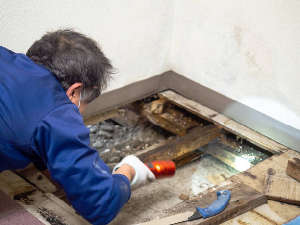 Best Mold Testing and Inspection Services in Ocean Shores, WA