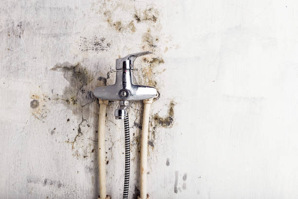Best DIY Mold Remediation Support Services in Ocean Shores, WA