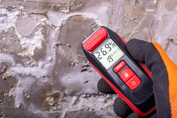 Best Bathroom Mold Remediation in Ocean Shores, WA